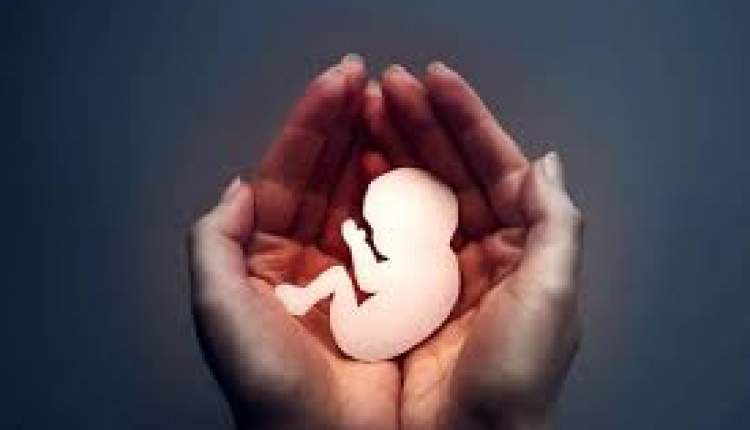 ۲۳ استان زیر خط باروری قرار دارند ۲۳ استان زیر خط باروری قرار دارند